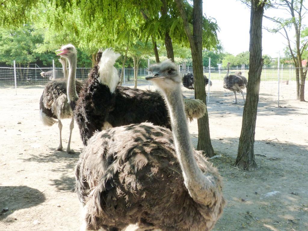 Dolce Luna Alojamento de Turismo Rural Milão